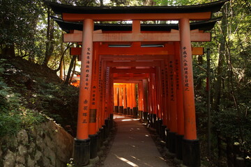 Fushima Inari-Schrein (der Schrein der Tausend Tore) - obrazy, fototapety, plakaty