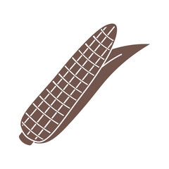 Corn cob on white background