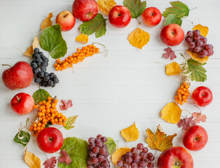 Harvesting of apples, grapes, sea buckthorn. Yellow and green, red leaves. Fruits on white background, top view.