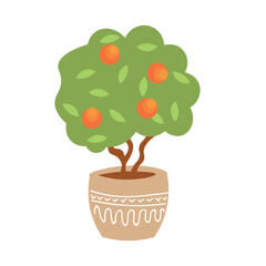 Green tangerine tree in pot on white background