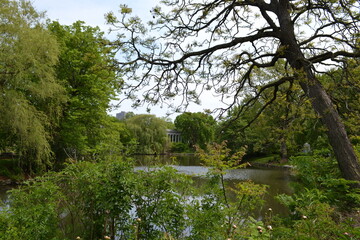 lake in the park