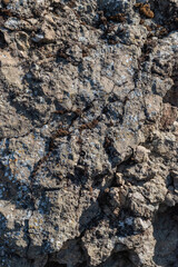 Rock