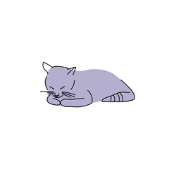 Cute cat lying on white background