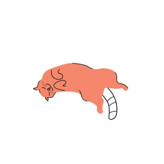 Cute lying cat on white background, top view