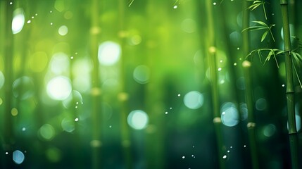Obraz premium green bamboo forest background with lots of bokeh and blur