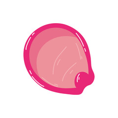 Contraceptive diaphragm on white background