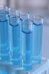 Test tubes with reagents in rack against blurred background, closeup. Laboratory analysis