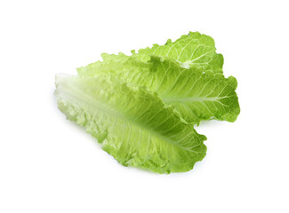 Fresh green leaves of romaine lettuce isolated on white