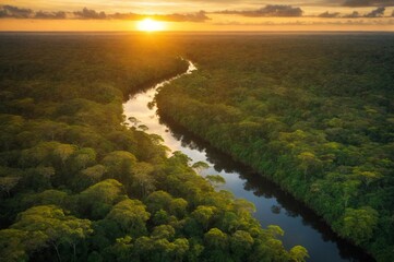 sunrise over the river ,Atlantic Forest in Brazil, Mata Atlantica ,ai generative