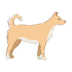 Funny dog on white background