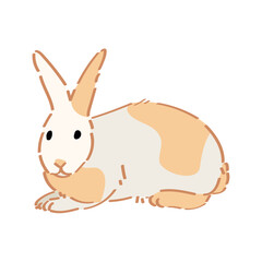 Cute funny rabbit on white background