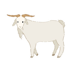 Cute goat on white background