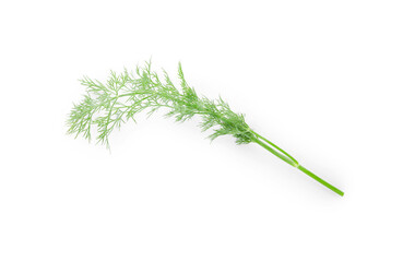 Fototapeta premium Sprig of fresh dill isolated on white, top view