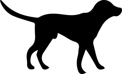 silhouette of a dog