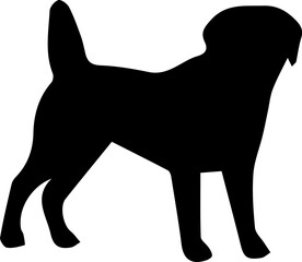 silhouette of a dog