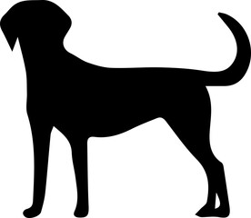 silhouette of a dog