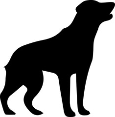 silhouette of a dog