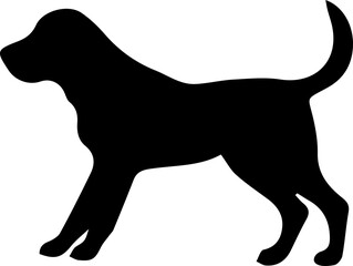 silhouette of a dog