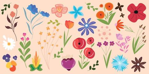 Set of many different flowers on beige background