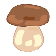 Ripe forest mushroom on white background