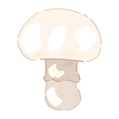 Ripe champignon on white background