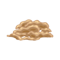 Tree fungus on white background