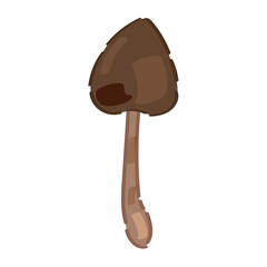 Brown mushroom on white background