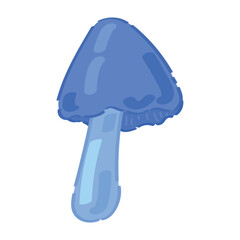 Blue mushroom (entoloma hochstetteri) on white background