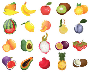 Set of tasty ripe fruits on white background