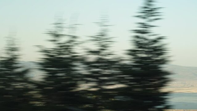 A view from the car window, pine trees passing by, and in the distance between the mountains in the valley, there's a massive lake.