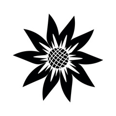 Drawn sunflower on white background