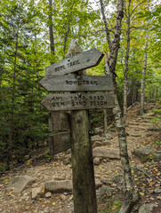 signpost in Acadia National Park in Maine 
