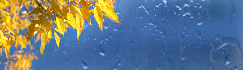 Bright blue sky and yellow leaves, autumn mood. Water drops dripping down the glass. View through...