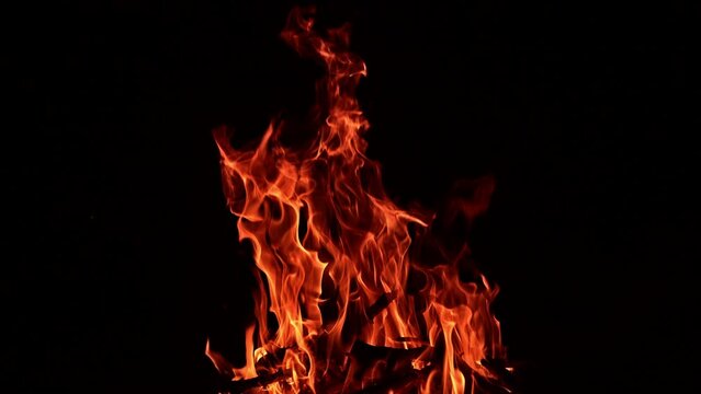 Big campfire burning in the total darkness. Tree branches burn in the fire at backdrop of darkness.