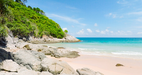 Fototapeta premium beach with trees