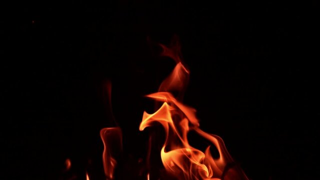 Beautiful flames of bonfire dancing in the darkness. Thin tongues of flame going up. Close up.