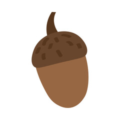 Autumn acorn on white background