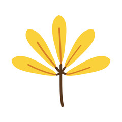 Yellow autumn leaf on white background