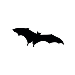 Spooky bat on white background