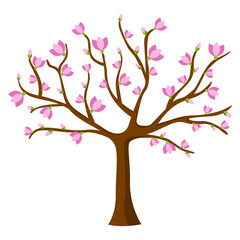 Blooming tree on white background