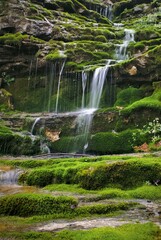 waterfall in the forest