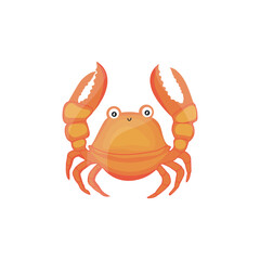 Cute crab on white background