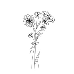 Beautiful meadow flowers on white background