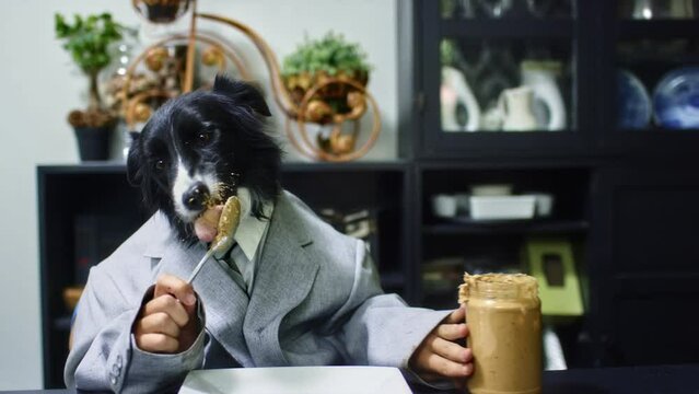 Dog Head On Human Body Eating Peanut Butter - Funny And Cute