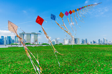 Long-tailed kites fly together in a single line. The Marina Barrage roof is a popular place for kite flying - 658856769