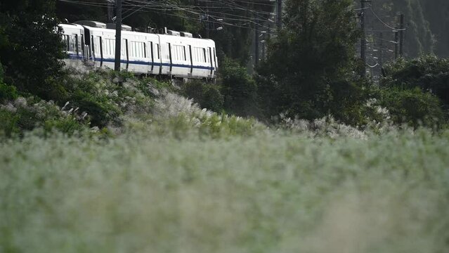 北陸新幹線敦賀延伸前の北陸本線を走る521系普通列車 （北陸本線 細呂木 - 牛ノ谷, 2023年10月）
