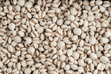 Full frame of cereal grains