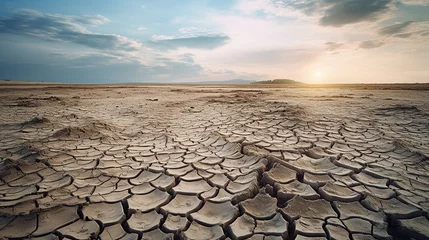 Foto op Plexiglas A landscape of dried lake. Drying lake because of extreme heat weather. Climate change effect. © Tirtonirmolo