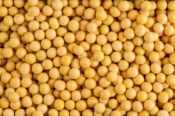 Full frame shot of Soybean