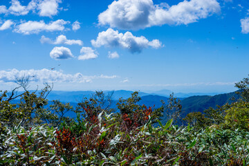 Obraz premium 夜叉ケ池山山頂の景色と赤とんぼ